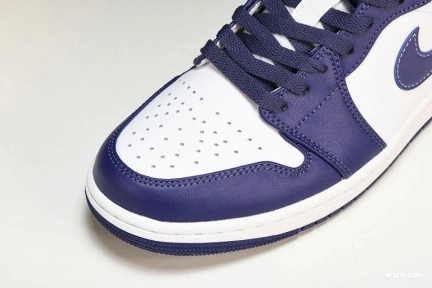 “Covered Jordan Tones” Low 1 Purple 553558-515 0731